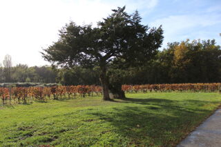  Propri�t�/ch�teau � vendre 6 pi�ces 