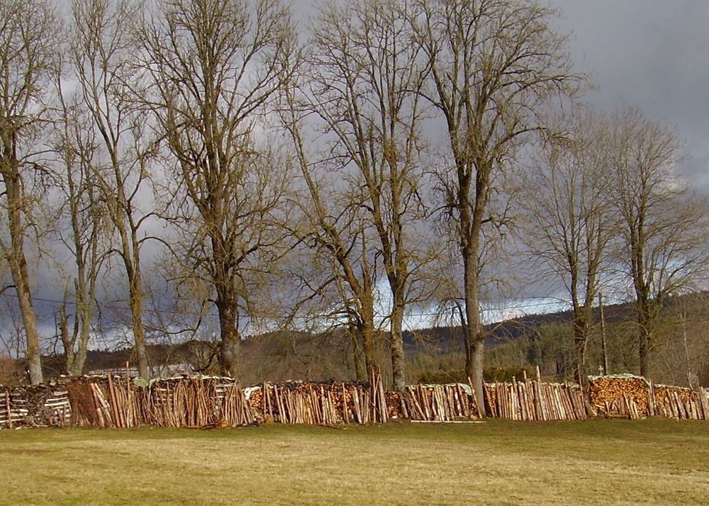 Bois de chauffage Jardin