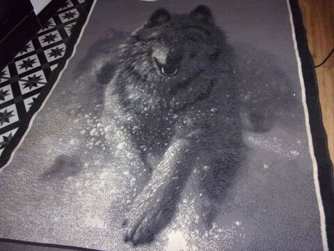 grand tapis de salon 40 Paizay-Naudouin-Embourie (16)