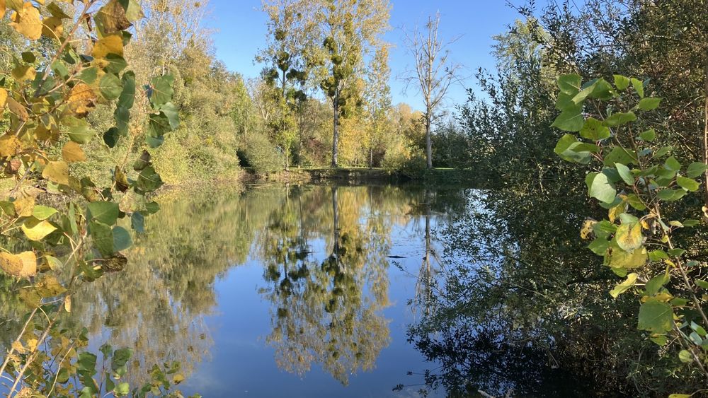 Vente Autre ETANGS Compertrix