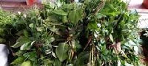   Particulier des feuillages bouquet garni et des plantes 