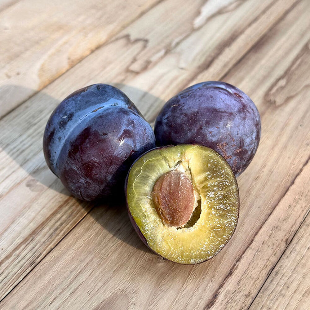 2,5 kg de prunes violettes de verger non trait&eacute; Jardin