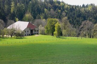 Location  Gîte 
