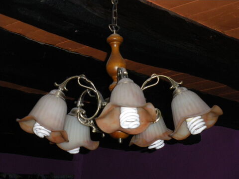lot de 3 luminaires suspendus avec globes forme florales 15 Cal�s (46)