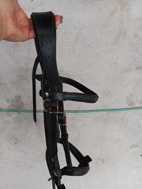 Bridon Antares 190 La Ronde (17)