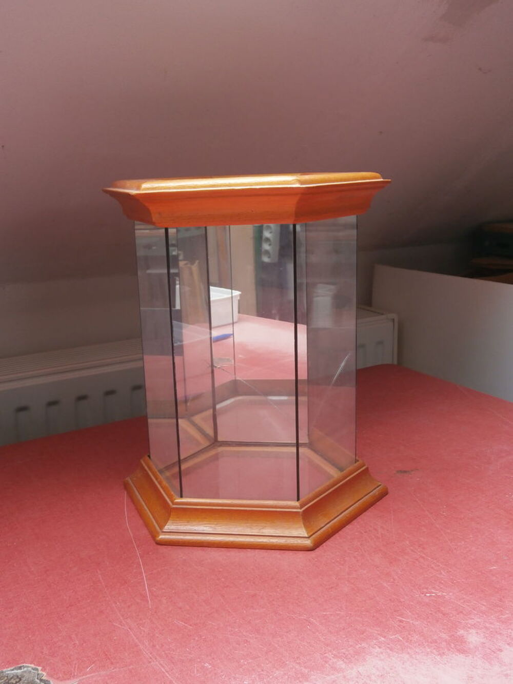 Serre vitrine hexagonal Décoration