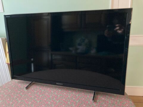 televiseur sony bravia 102 cm 80 Gensac-la-Pallue (16)