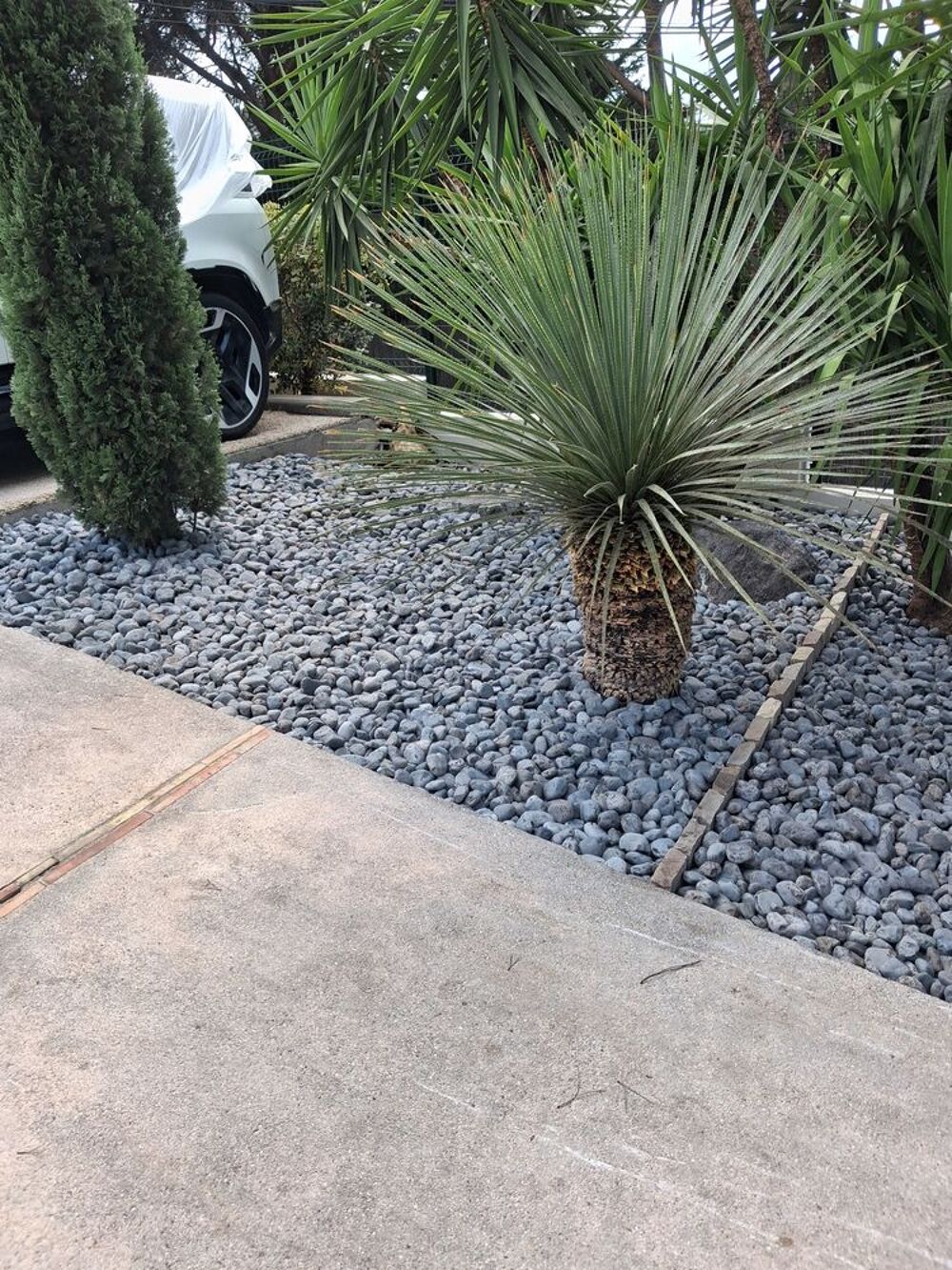   Travaux de jardinage. Services de rénovation et de construct 