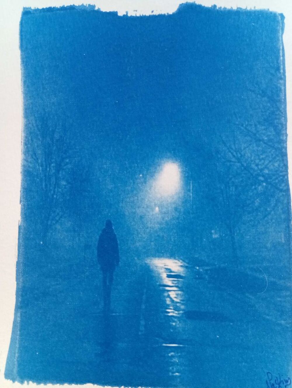Photographie en Cyanotype, Proc&eacute;d&eacute; Photographique 1842, Bleu de Prusse, "Solitude" version 2, 20,8cm/16,5cm, &eacute;tat neuf Décoration