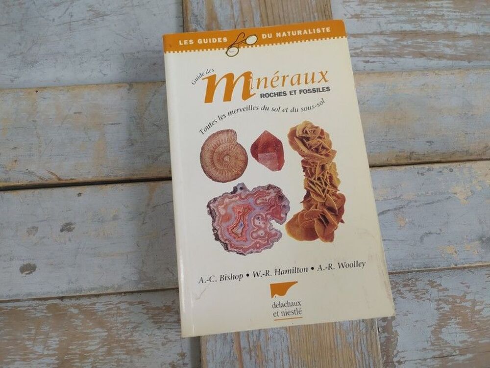 Livre Delachaux et Niestl&eacute; Guide des Min&eacute;raux et Fossiles Livres et BD