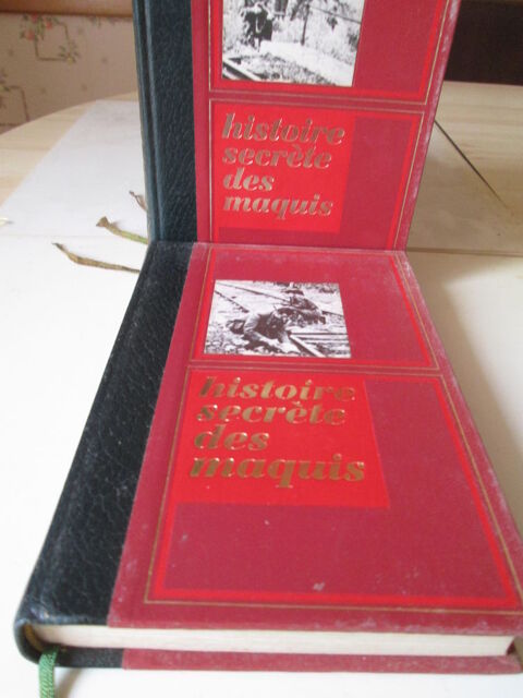 Livres 5 Castres (81)