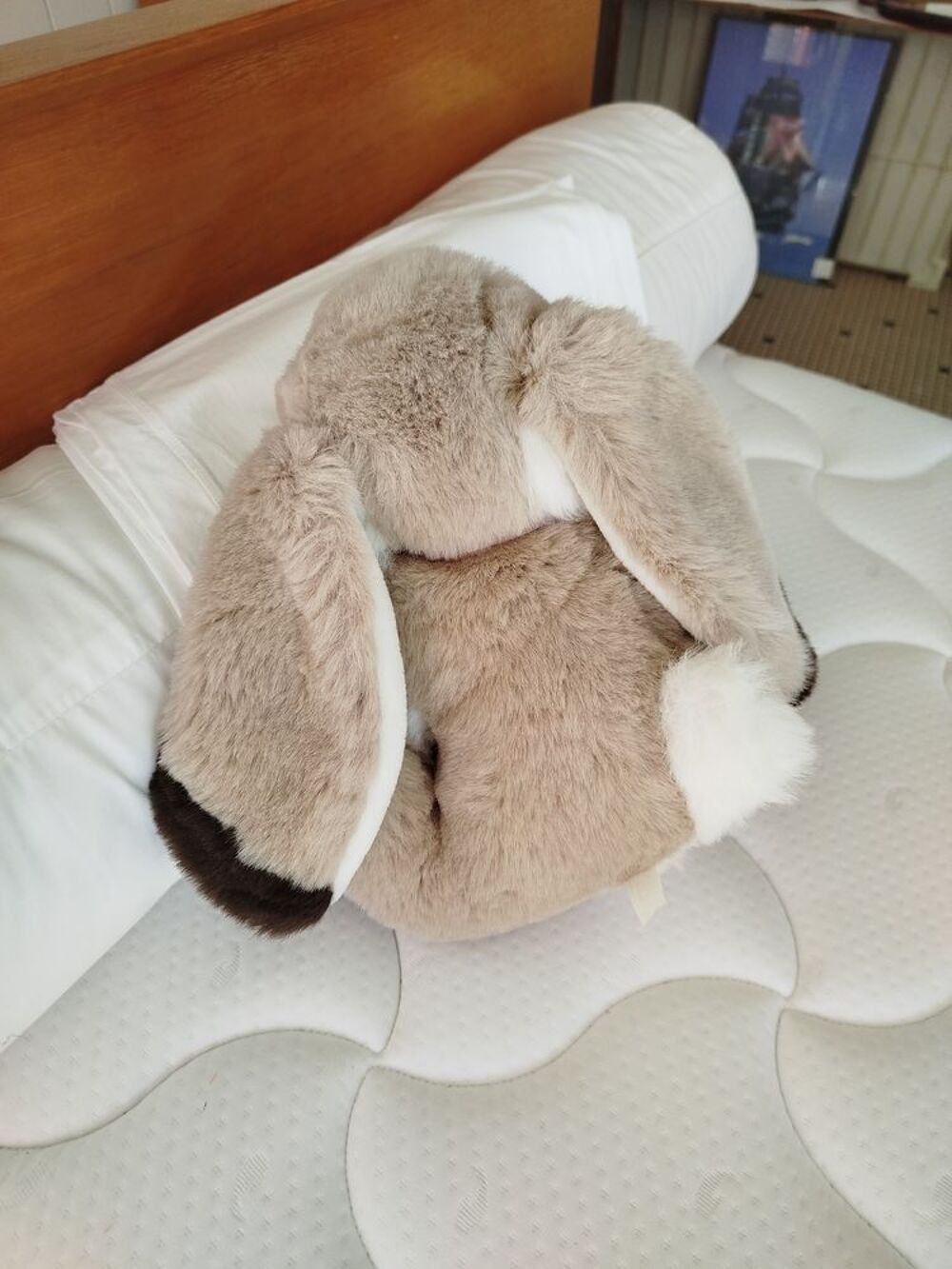 Peluche Lapin en TBE (lav&eacute;e, tr&egrave;s douce) Jeux / jouets