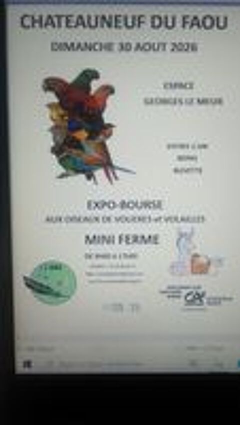   Expo-bourse aux oiseaux exotiques et volailles, 