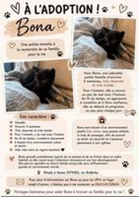   Chat BONA à la réservation 