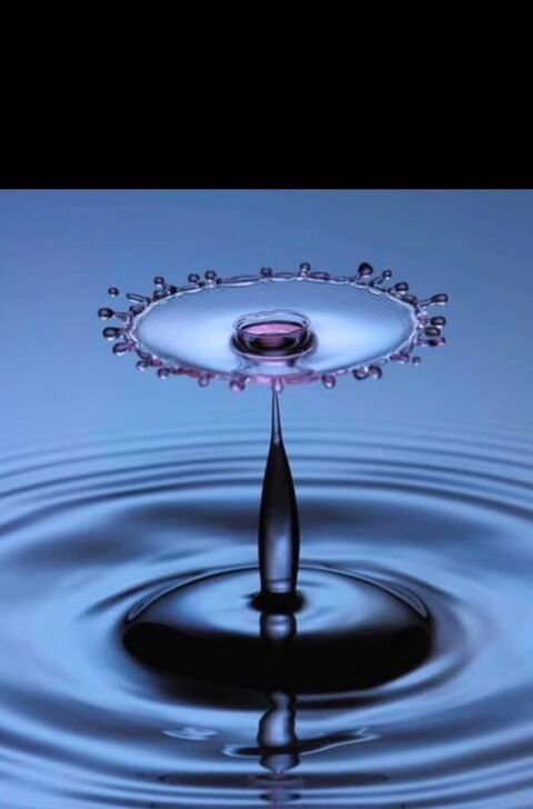 Sourcier recherche d'eau 0 62136 La couture