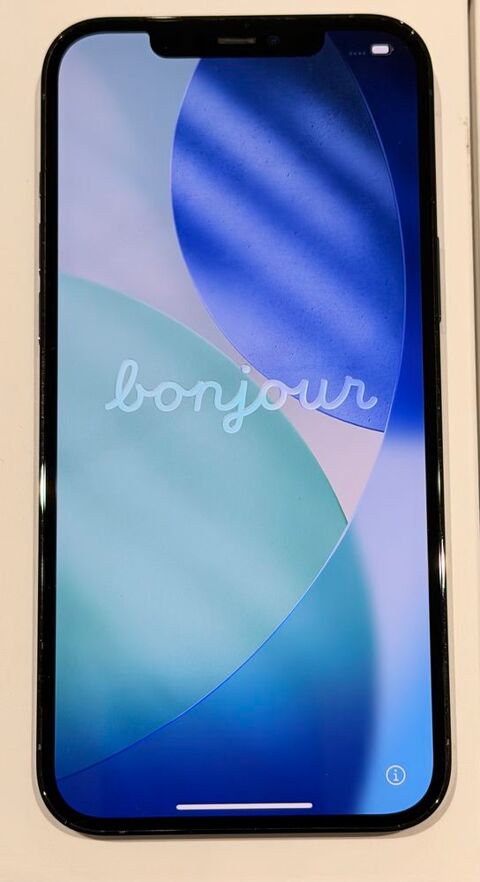 iPhone 12 Pro Max  290 Saint-Maximin-la-Sainte-Baume (83)