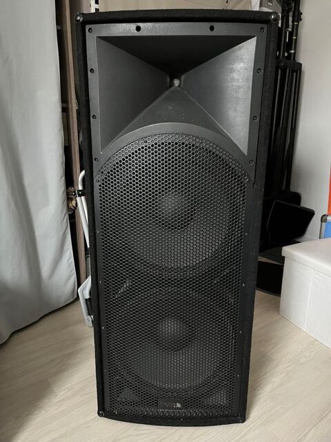 Enceinte sono Ifs (14)