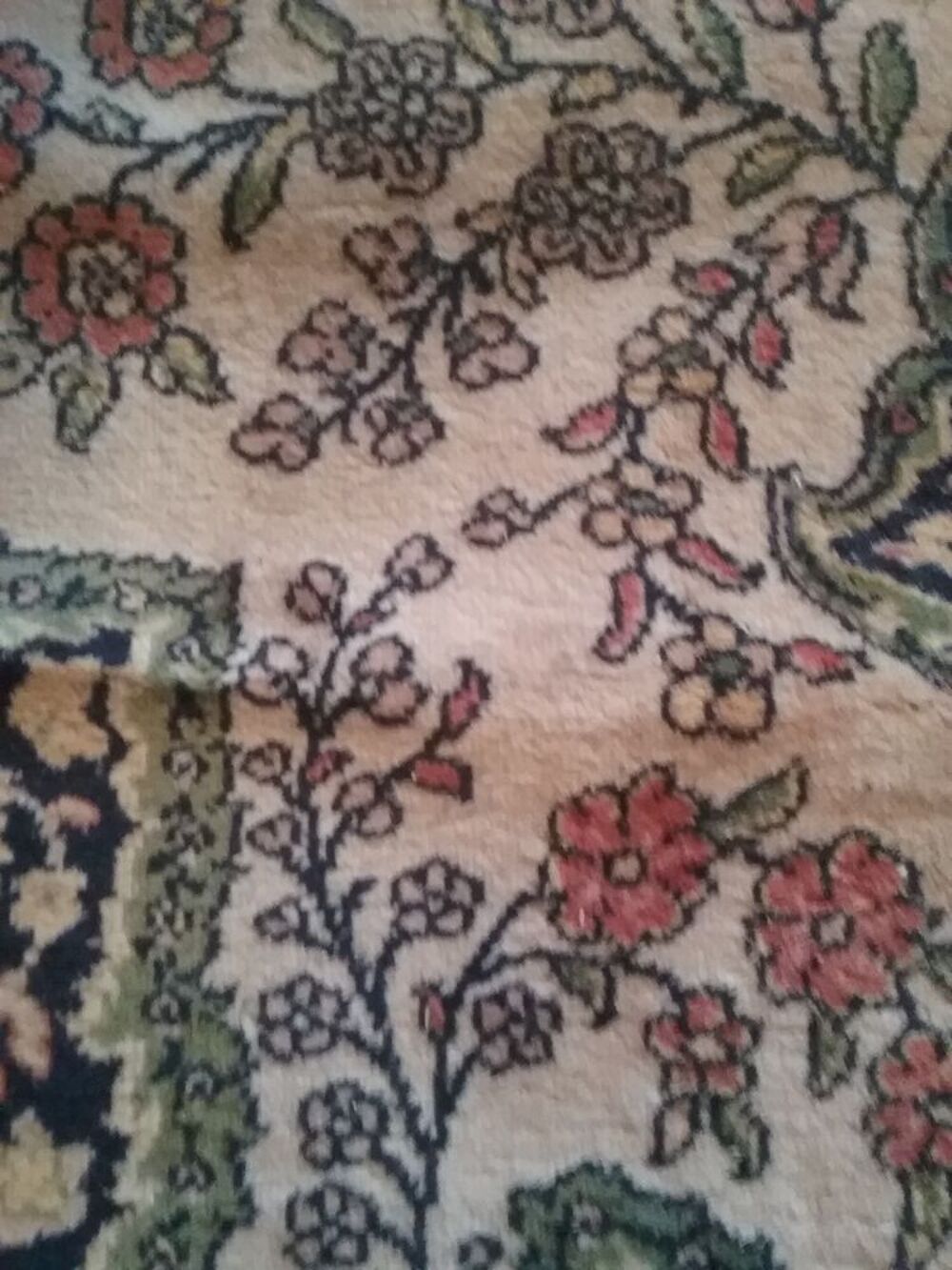 beau tapis type persan tres bon etat Décoration
