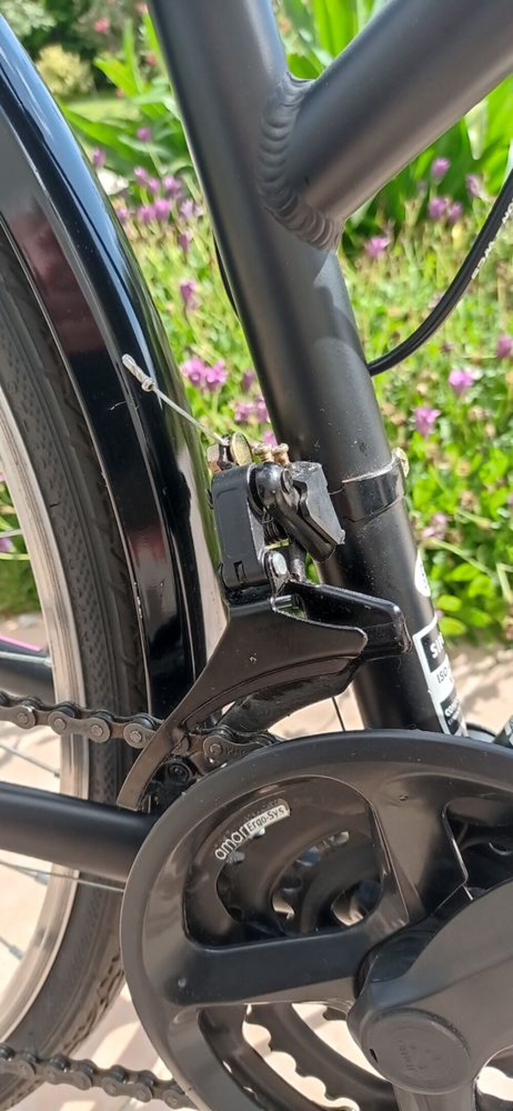 V&eacute;lo VTC femme
Vélos