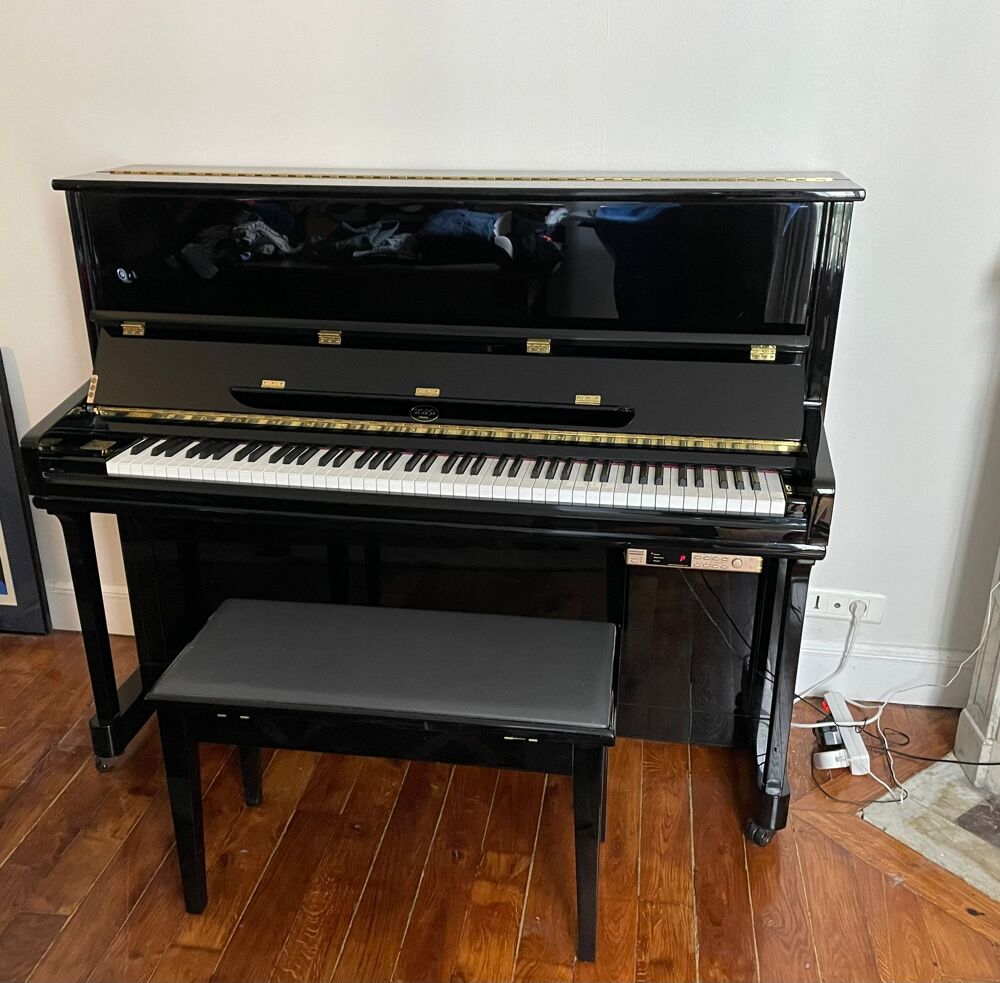 Piano Bord (Paris) Rhapsody avec System silent dream Instruments de musique