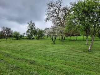  Terrain � vendre 1980 m� Verseilles-le-bas