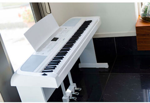 dgx 670 yamaha 790 Mulhouse (68)