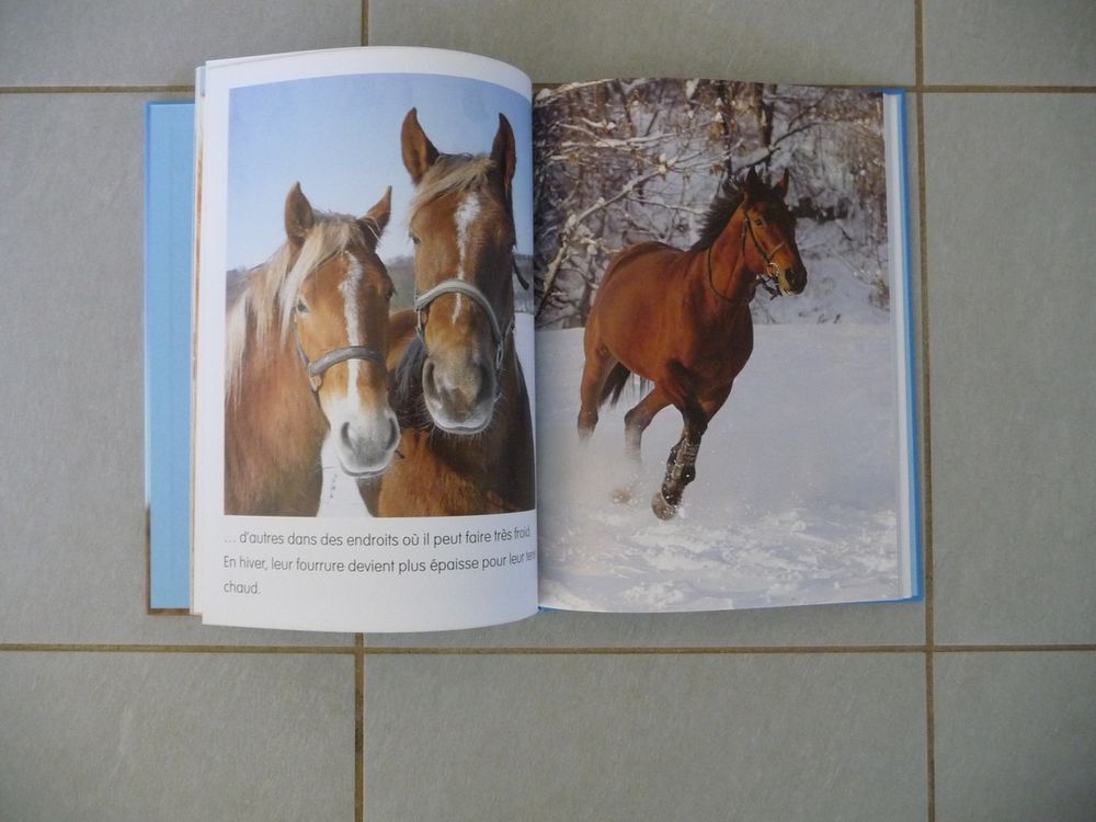 Livre le monde merveilleux les chevaux - Neuf Livres et BD
