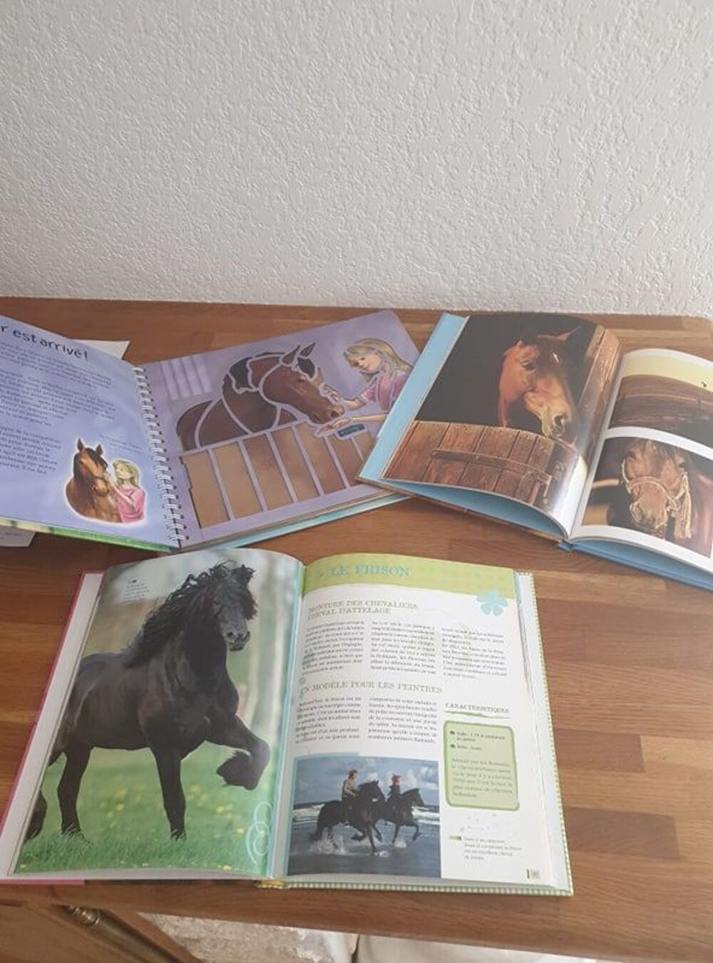 Lot de livres sur les chevaux dont un avec des pochoirs Livres et BD