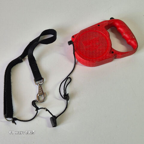Ancienne laisse rtractable en nylon pour chien de compagnie 6 Saumur (49)