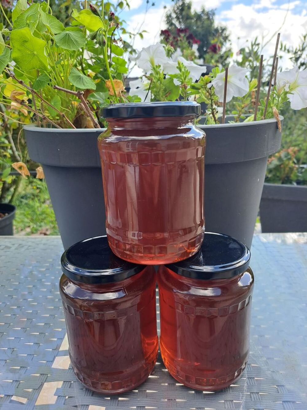 MIELS EN PRODUCTION LIMIT&Eacute;E POTS 1 KG Jardin