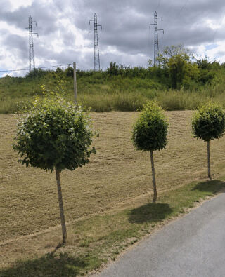  Terrain à vendre 3510 m²