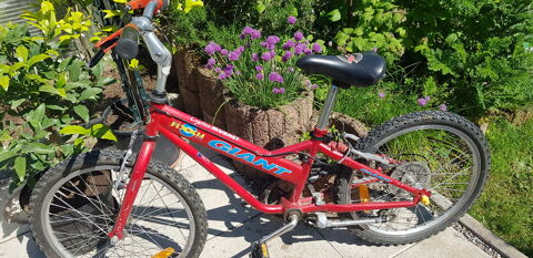 VTT enfant marque Giant  saisir 50 Morsbronn-les-Bains (67)