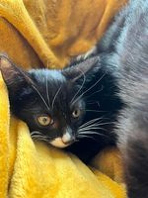   BINX 