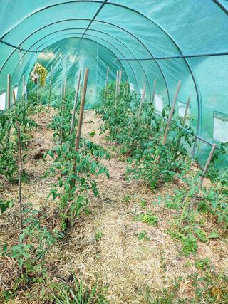  Terrain � vendre 1700 m�