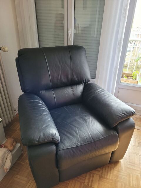 Fauteuil Relax cuir 200 Moulins (03)