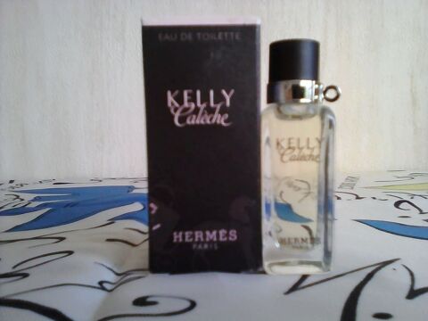 MINIATURE DE PARFUM 7 Trouy (18)
