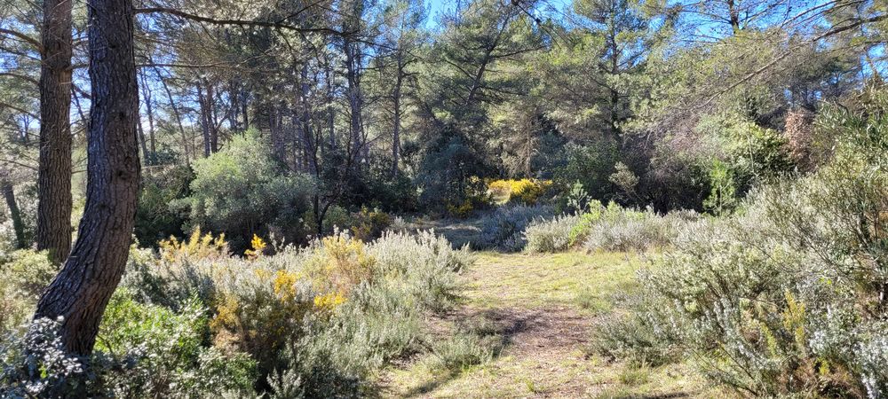 Vente Terrain TERRAIN NON CONSCRUCTIBLE BOISE Fuveau