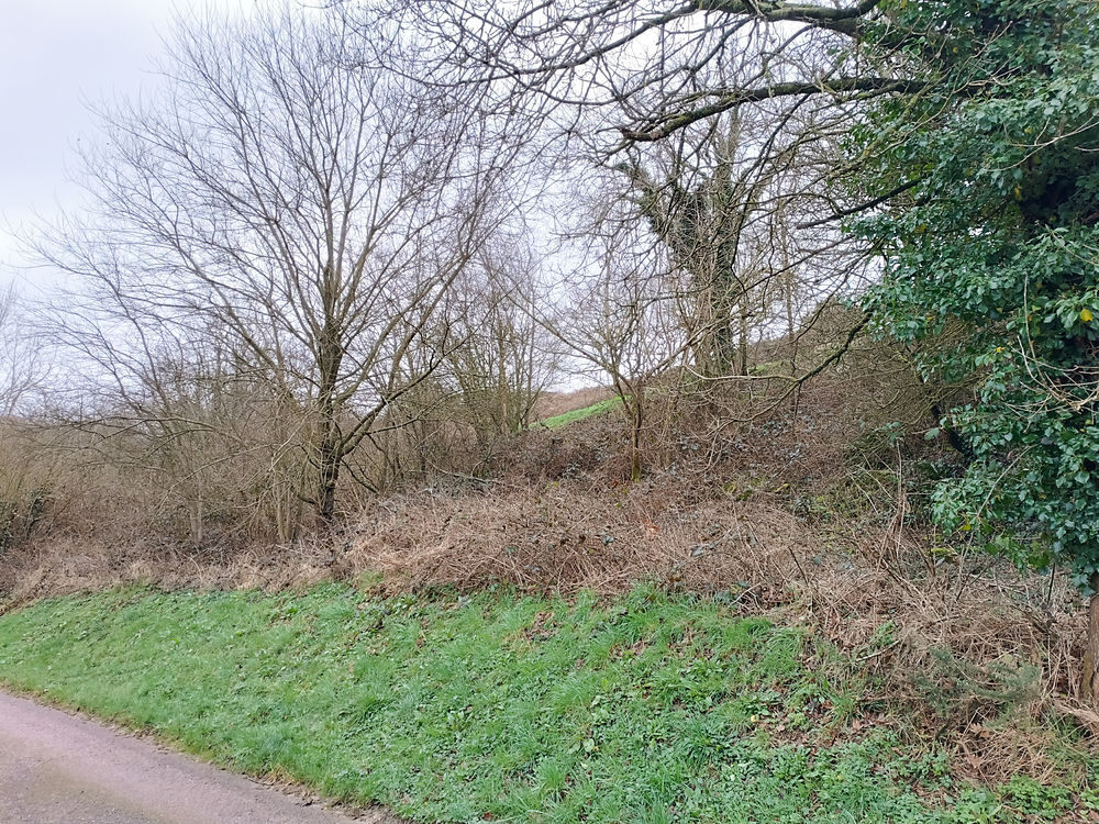 Vente Terrain SAINT PIERRE EN PORT, TERRAIN BOISE DE 3.267m2 Saint-pierre-en-port