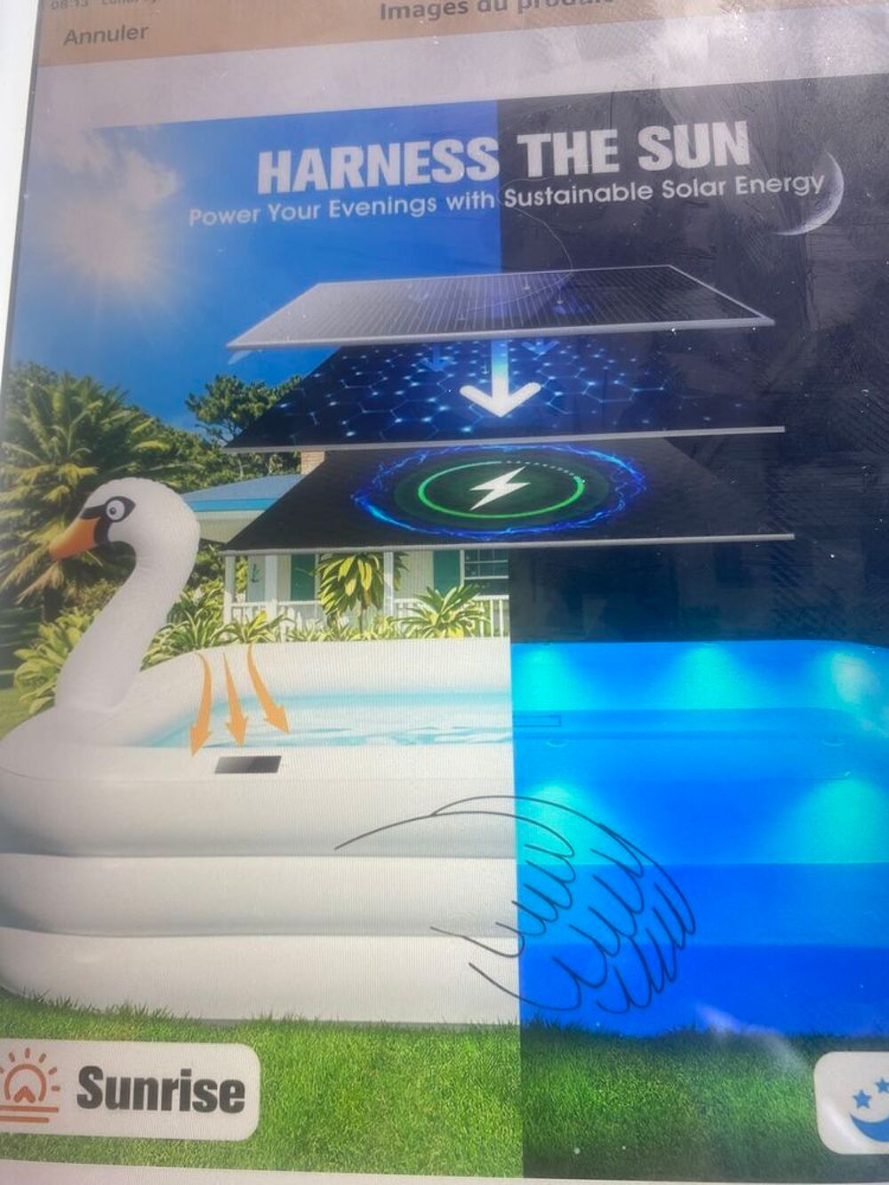 Piscine cygne lumineuse solaire cause double emplois. Jardin