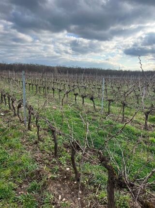  Terrain � louer 51000 m�