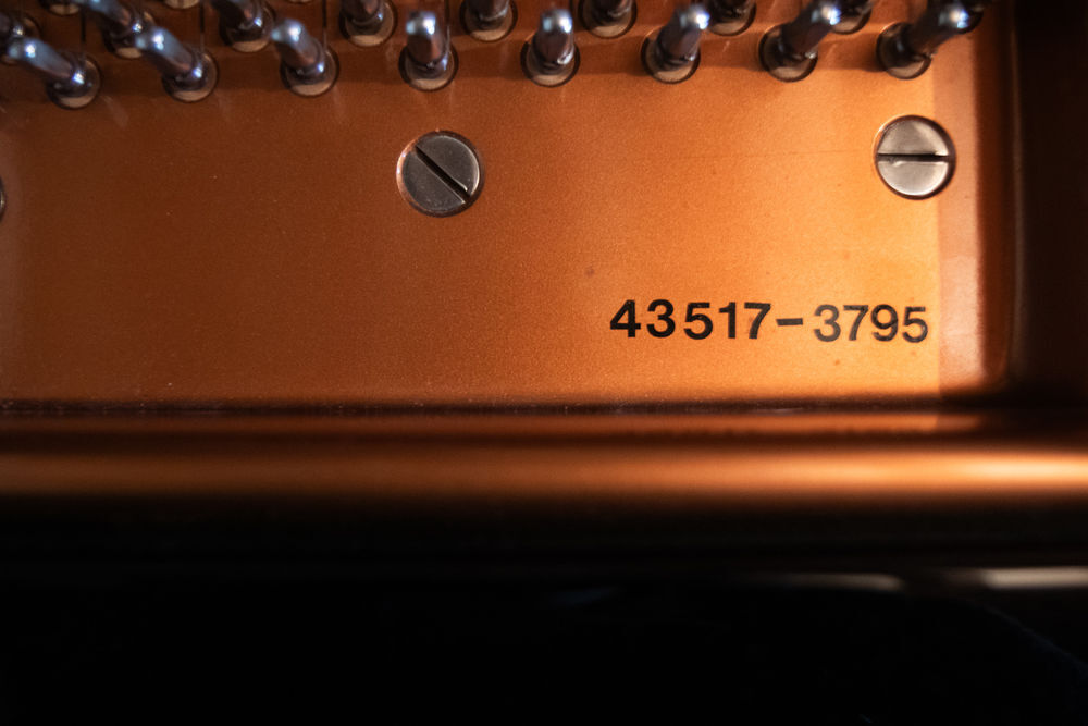 B&ouml;sendorfer Instruments de musique