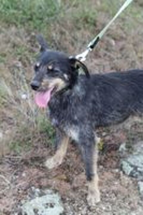   SIMKA SE TROUVE DANS UN REFUGE EN UKRAINE 