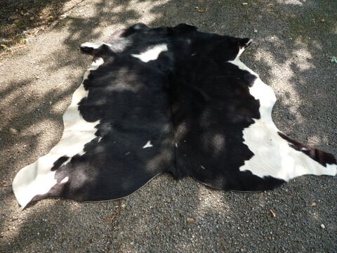 Ancienne peau de vache véritable / tapis
160cm x 160cm/110cm 85 Castres (81)