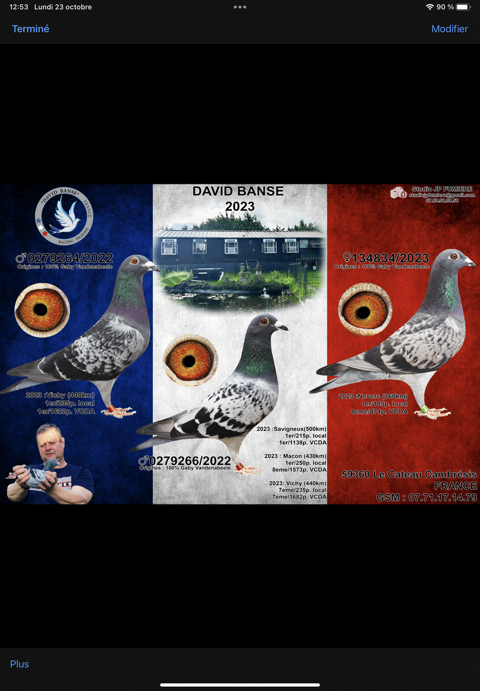Pigeons voyageurs 80 59360 Le cateau-cambrsis