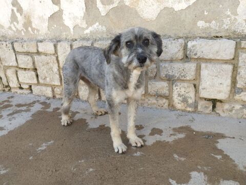 CARLA , un vrai tr&eacute;sor 315 24140 Douville
