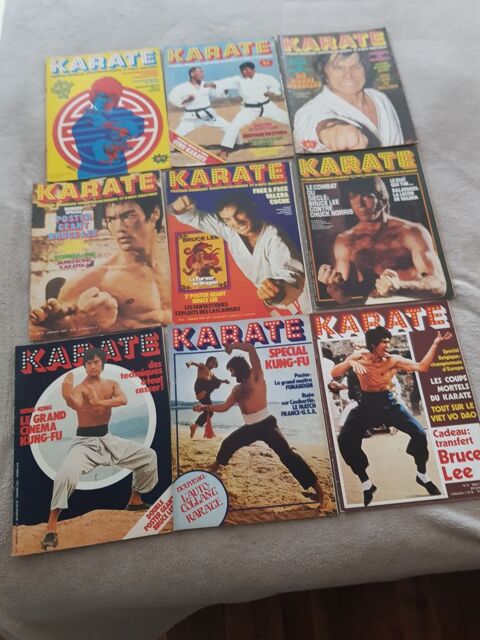 LOT DE 9 MAGAZINES KARATE (du n1 au n9 inclus) 100 Vichy (03)