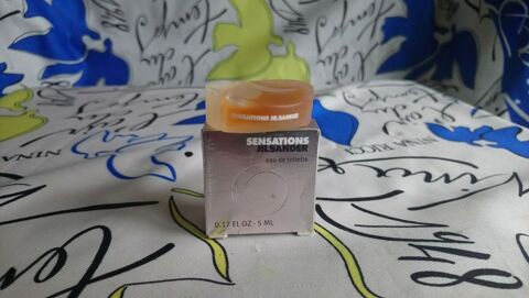 MINIATURE DE PARFUM 5 Trouy (18)