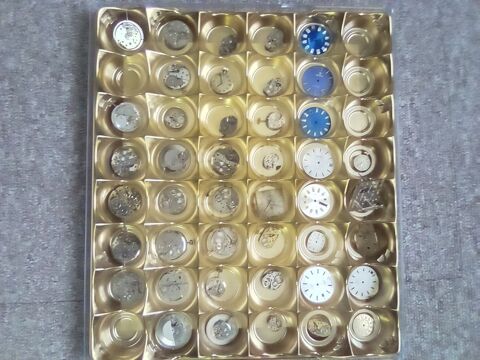 Mouvements de montres anne 60/70 59 Chef-Boutonne (79)