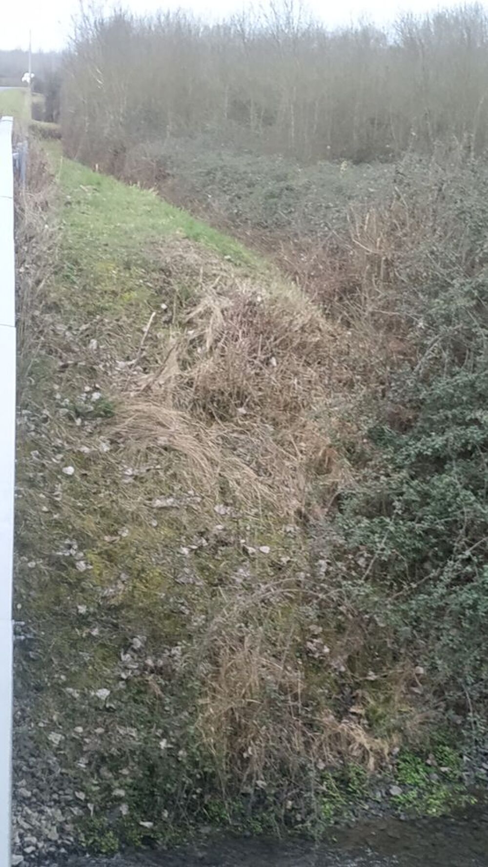 Vente Terrain Appeler plutôt. terrain bord de rivière 3296 mètres carr Saumur