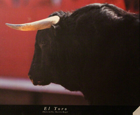     EL  TORO    50 Anglet (64)